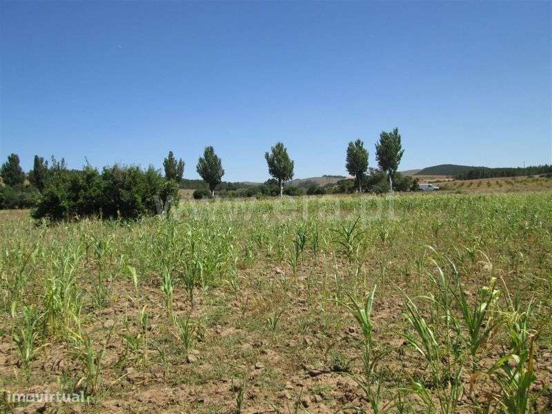 Quinta Estúdio / Fundão, Enxames - Grande imagem: 2/7