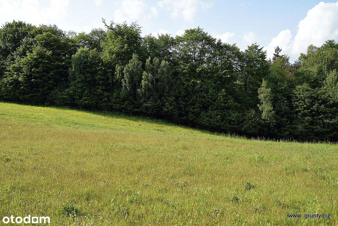 Oaza na Wzgórzach Dylewskich-9