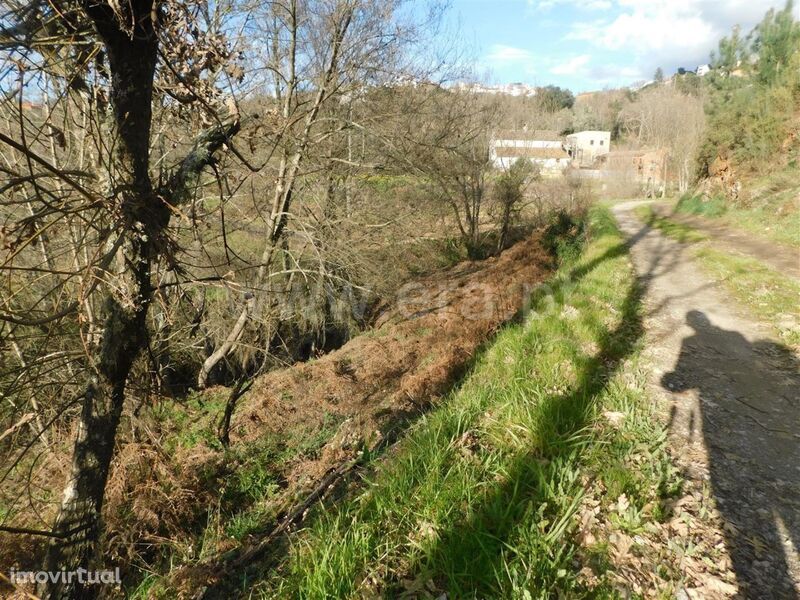 Terreno / Fundão, Souto da Casa