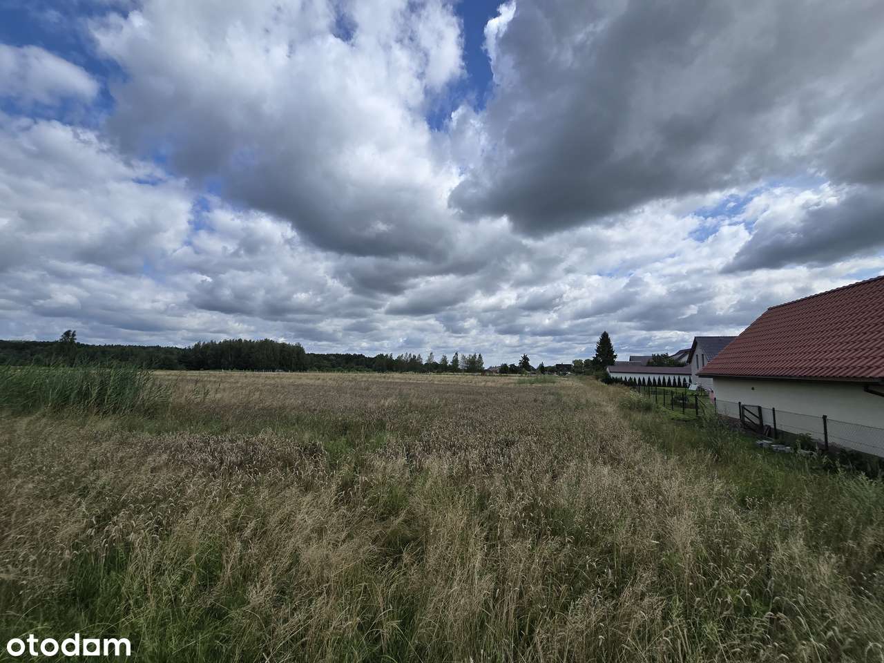 Bukowice, gm. Krośnice, działka budowlana, wszystkie media dostępne - Pełny obrazek: 5/13