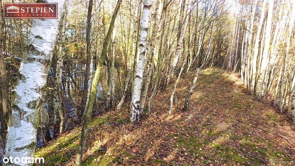 Działka rolna ze stawem Izery - Pełny obrazek: 4/8