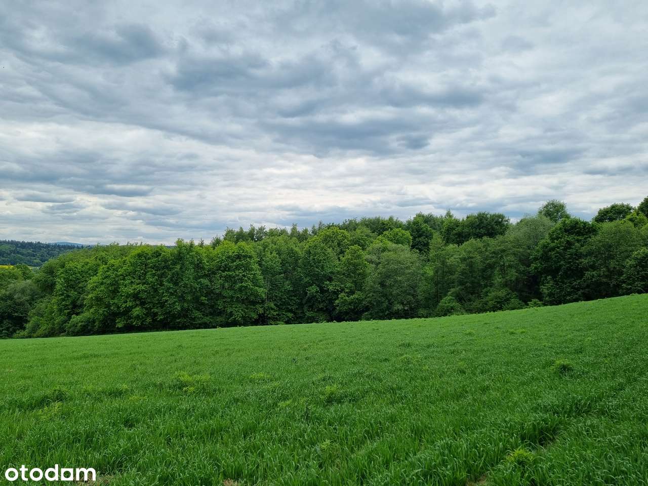 Działka Widokowa- Tatry,Babia Góra-3