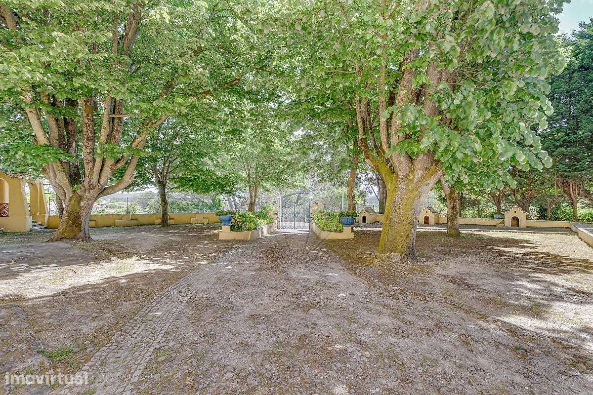 Quinta T21 para venda-31