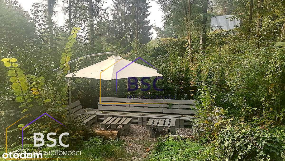 Bajkowy widok na jezioro w 1 linii brzegowej-7