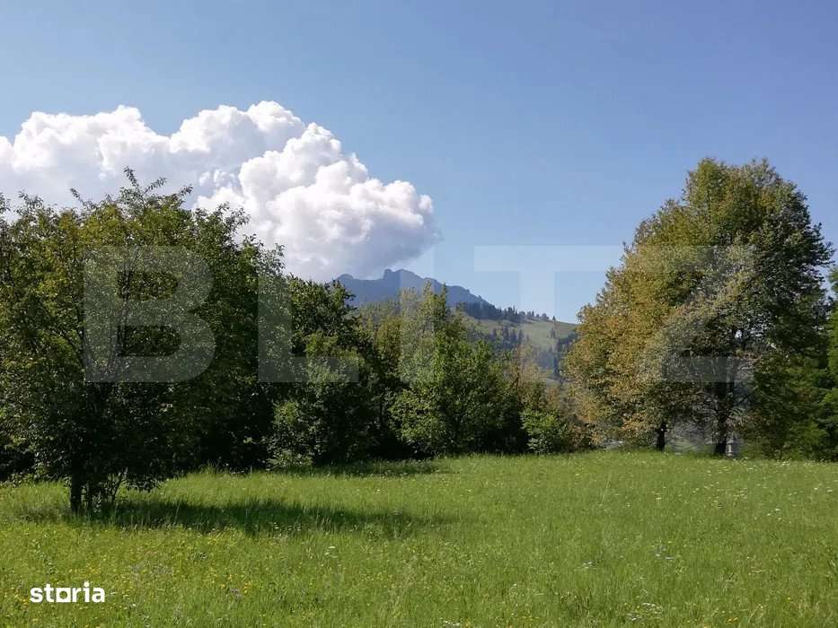 Teren 2500 mp, la strada, Ceahlau,, locatie perfecta - Imagine principală: 2/3