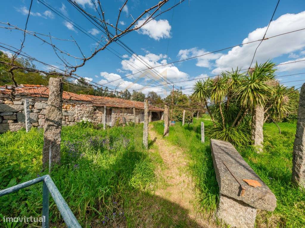 Quinta com Potencial de Expansão | Lordelo - Guimarães-30