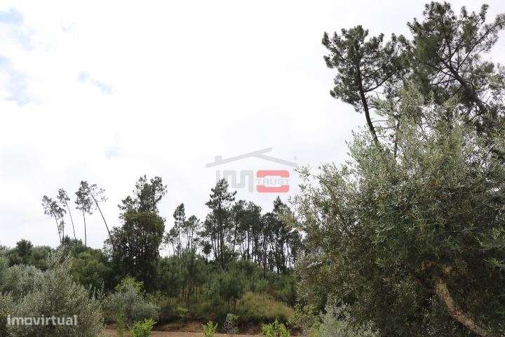 Terreno - Grande imagem: 5/6