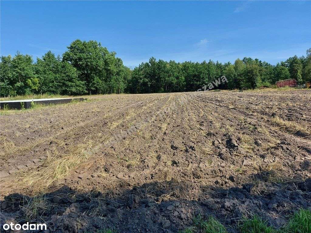 Wymiarowa Działka Pod Twój Wymarzony Dom-5