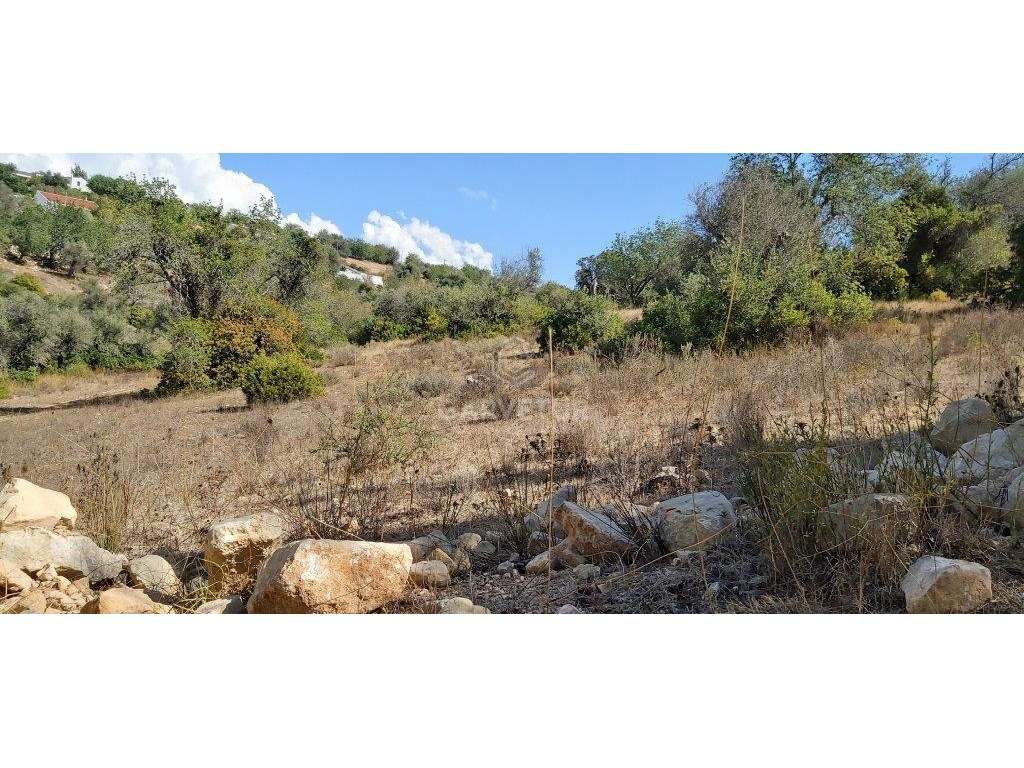 Terreno agrícola, várias culturas, Paderne, Albufeira, Algarve - Grande imagem: 2/15