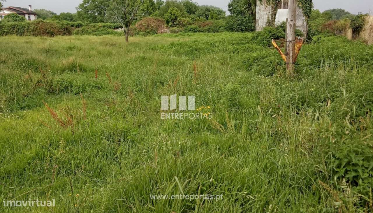 Venda de Terreno com 5250m², Darque, Viana do Castelo - Grande imagem: 4/8