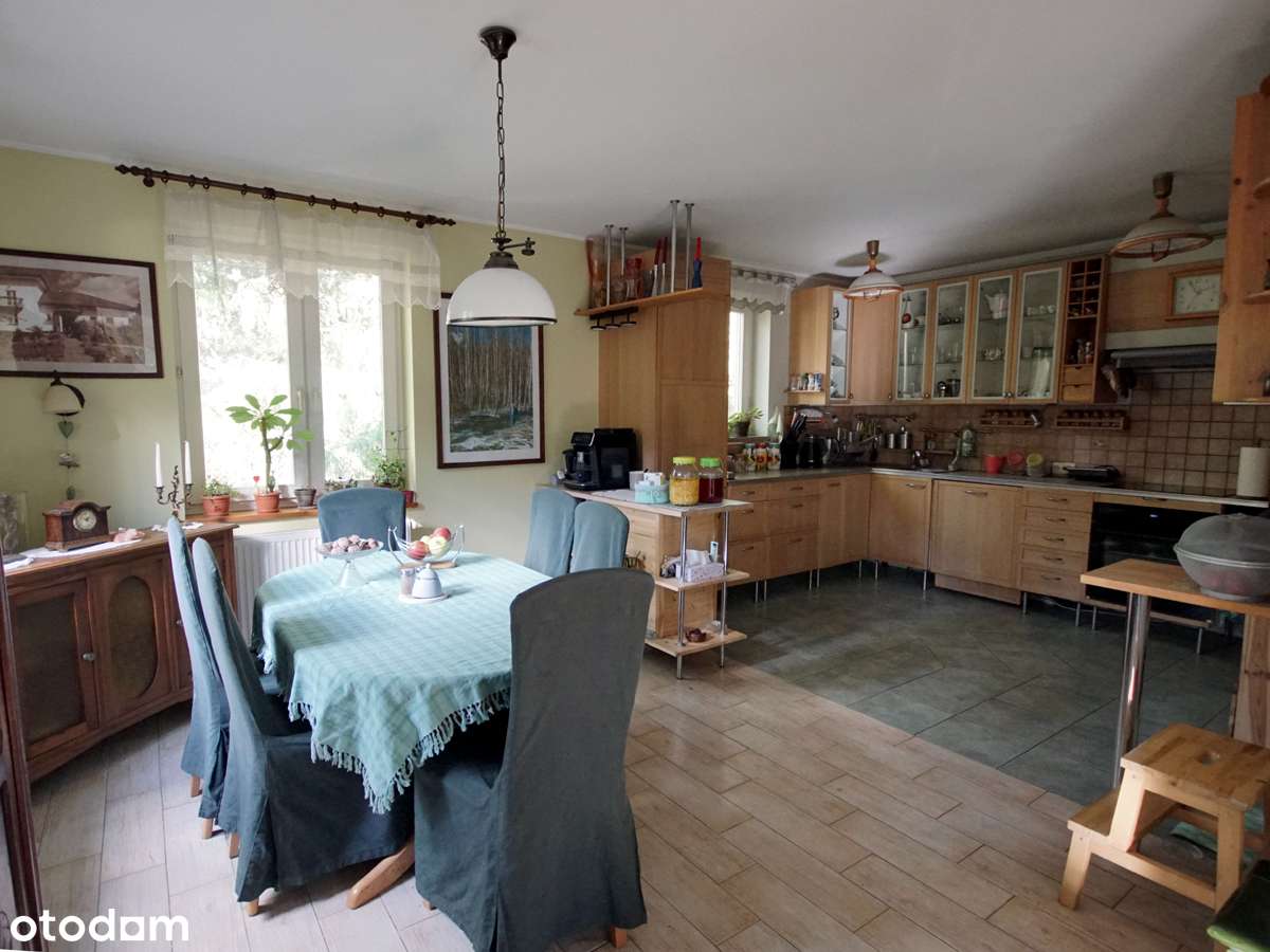 Blisko Zalesia Górnego, okolice Lasu Chojnowskiego - Pełny obrazek: 5/10