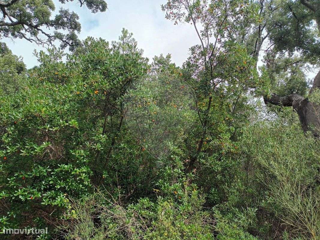 Terreno  para venda - Grande imagem: 4/7