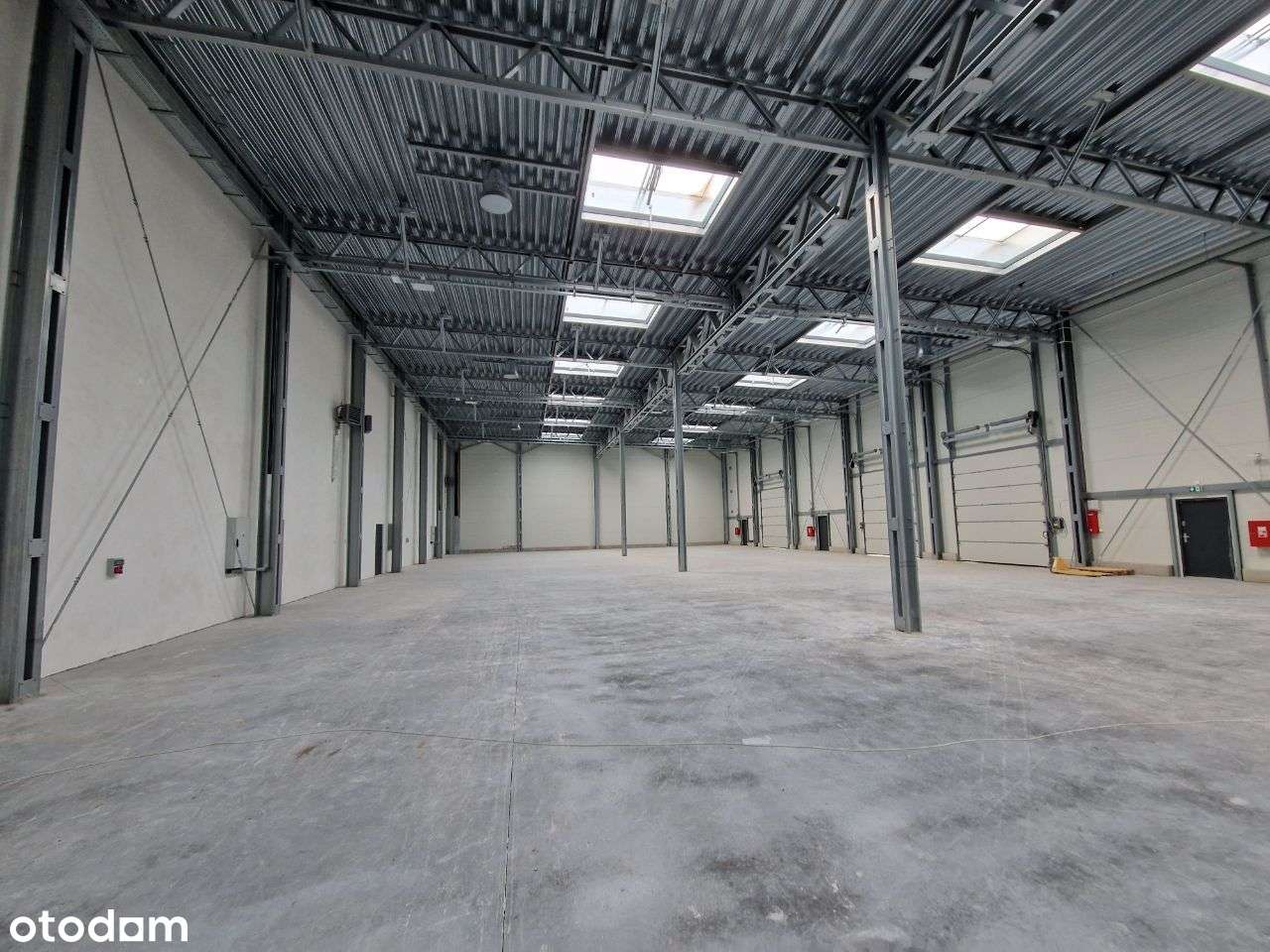 Magazyn Świecie 260 m2 + Biuro 68 m2 Parter - Pełny obrazek: 5/15