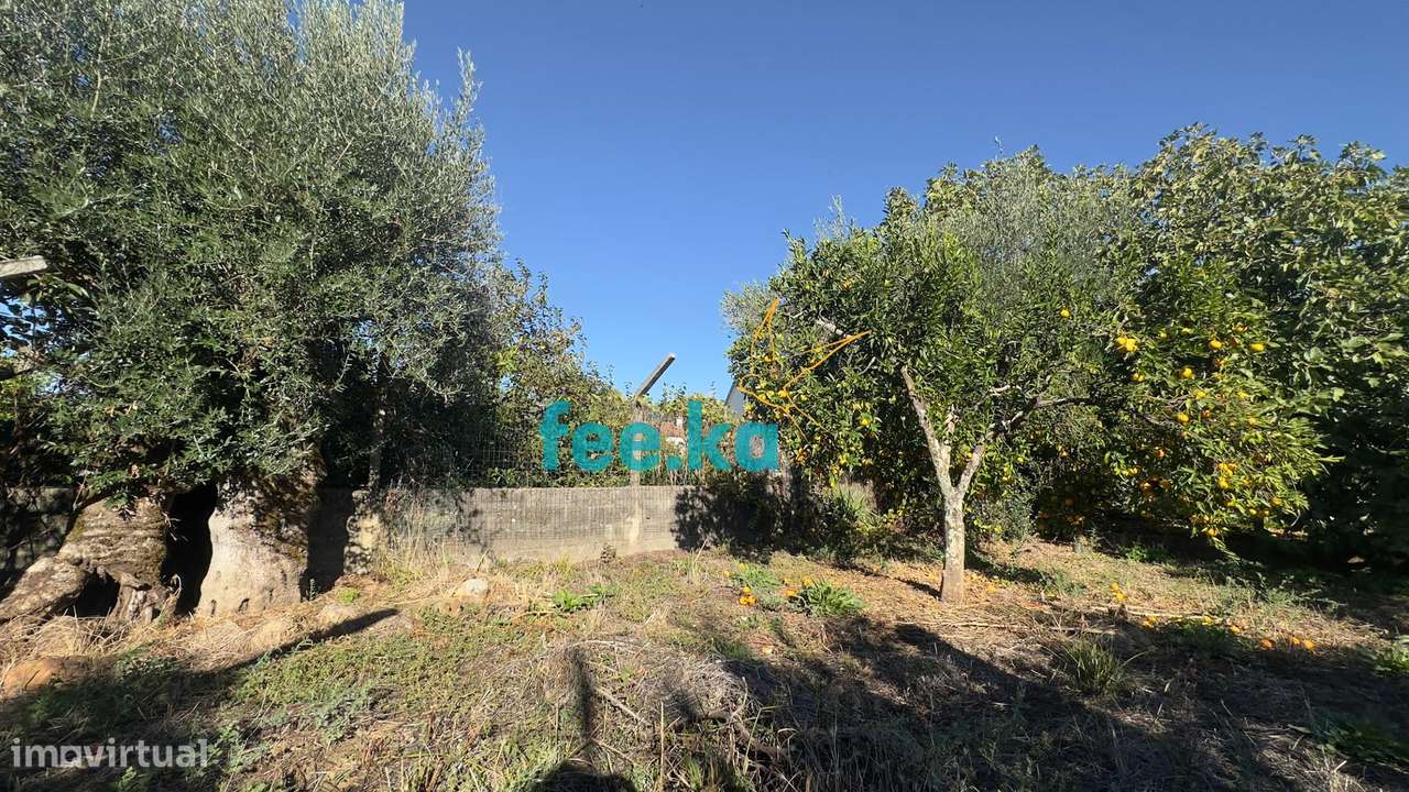 Quintinha T1 em Palvarinho-6