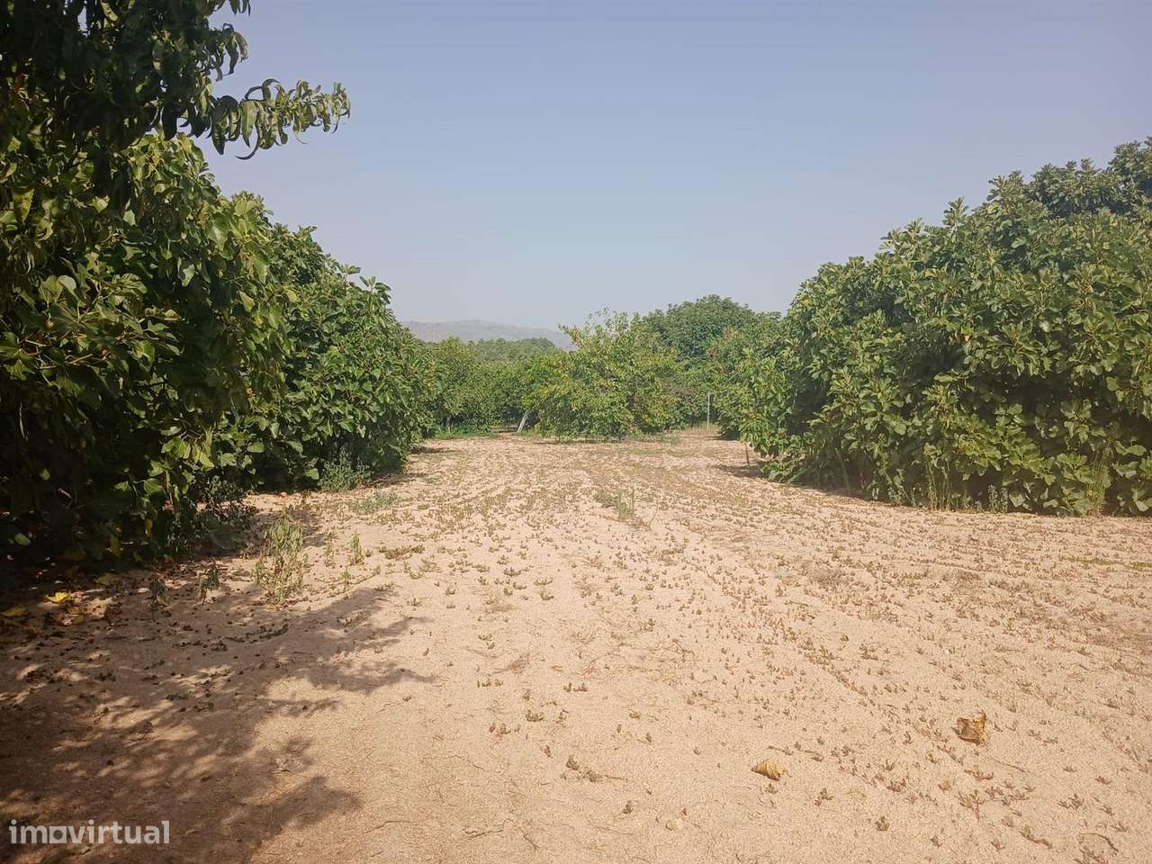 Terreno - Grande imagem: 5/10