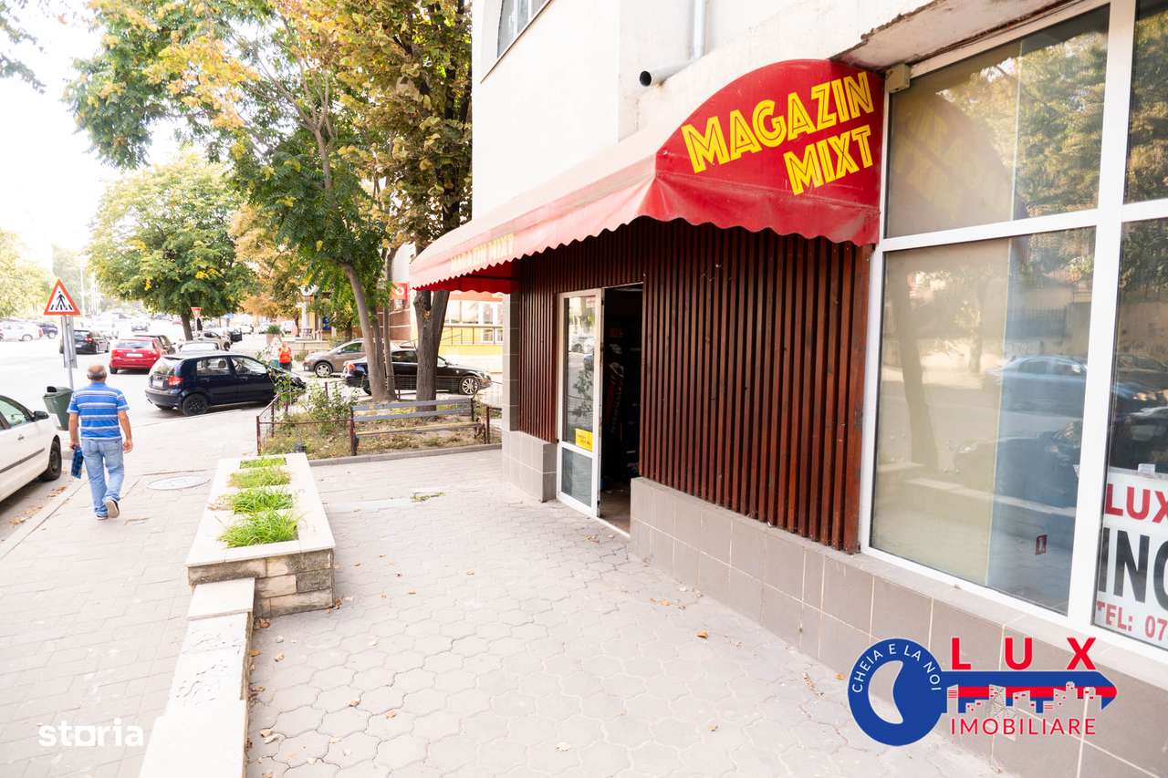 ID 8205 EXCLUSIVITATE - Spatiu de inchiriat pe Strada Babadag - Imagine principală: 3/12