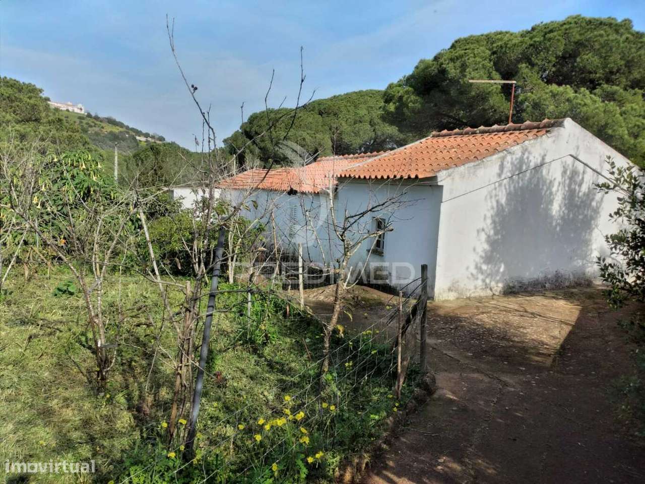 Quintinha com 6723m2 em Santiago do Cacém - Grande imagem: 4/32