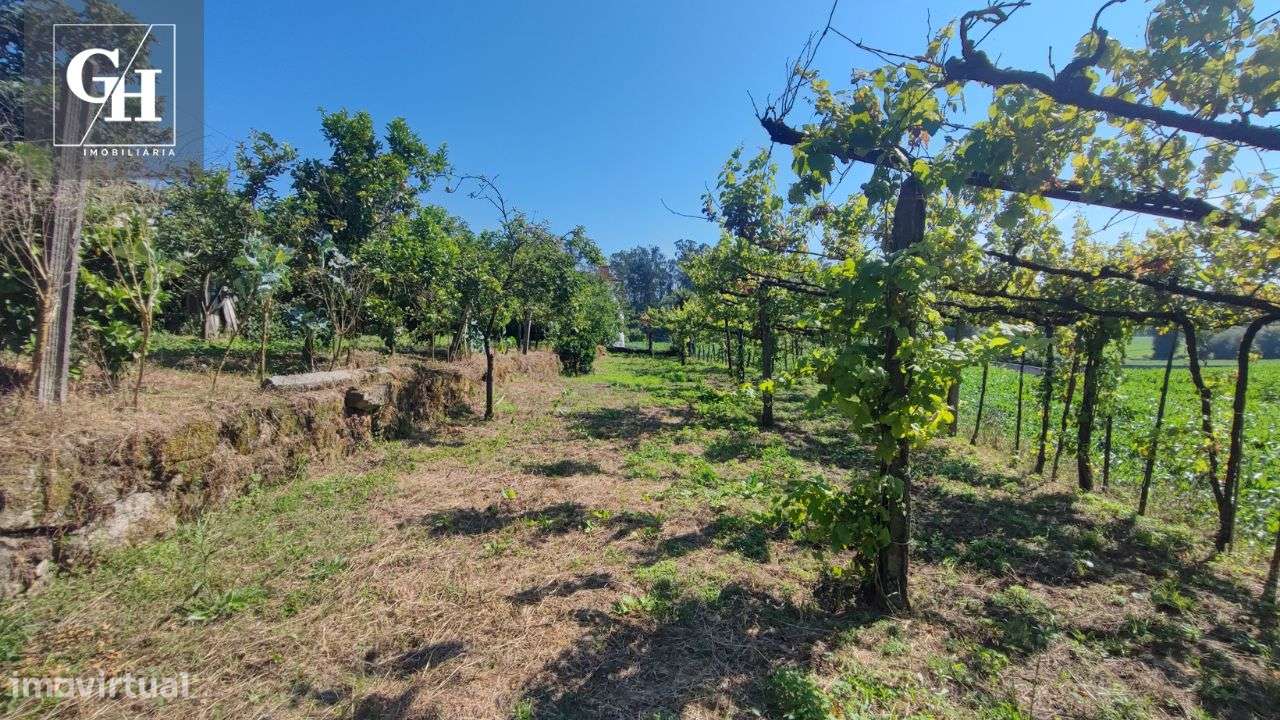 Terreno em Gondifelos - Grande imagem: 3/14