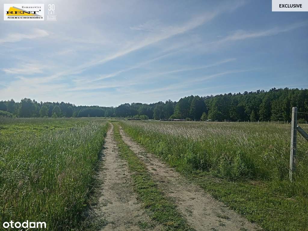 Działka w Chociwlu - Pełny obrazek: 5/9