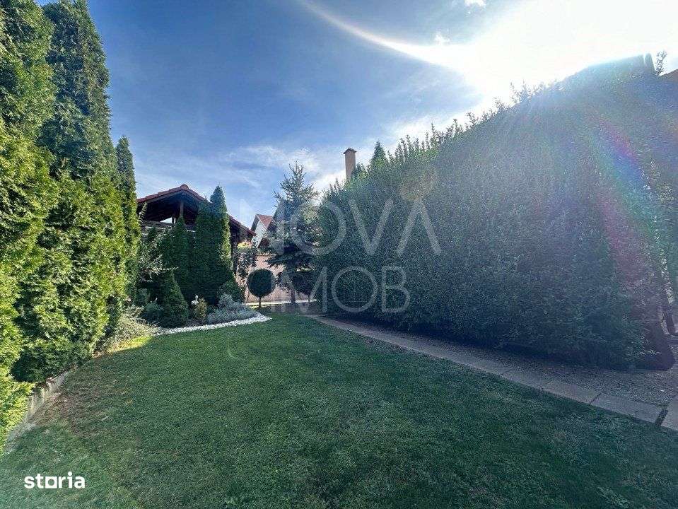 Casa individuala de vanzare - Sura Mare - Imagine principală: 5/19