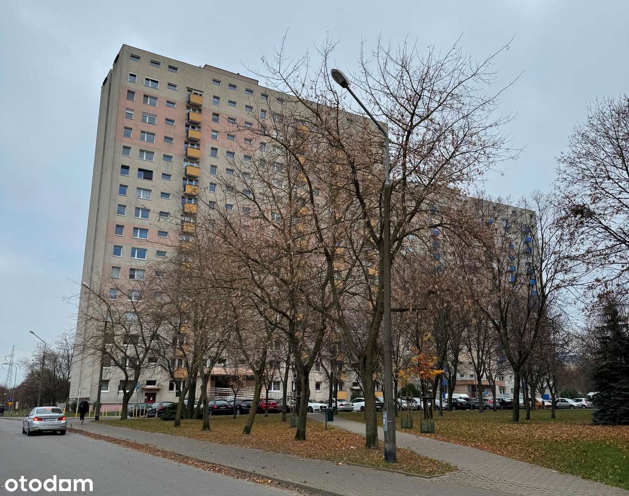 Winogrady / W. Wzgórze / 3 pokoje / bezpośrednio