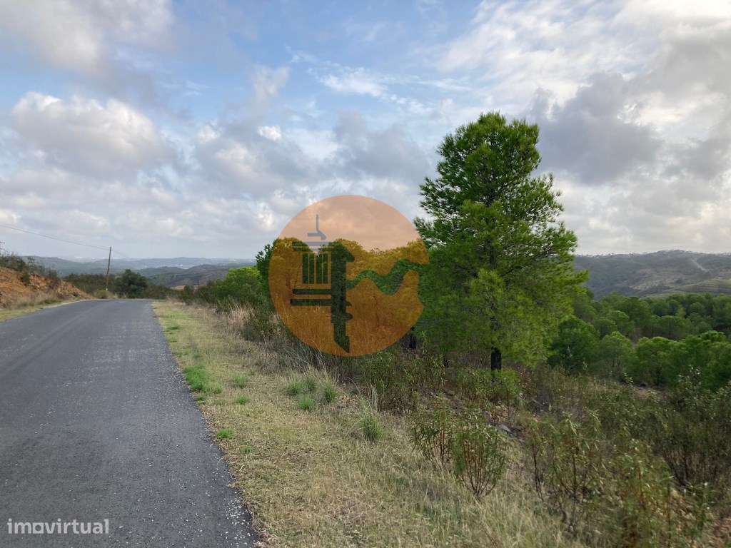 TERRENO COM 67.520 M2 - COM POSSIBILIDADE DE CONSTRUÇÃO - TURISMO O... - Grande imagem: 4/22