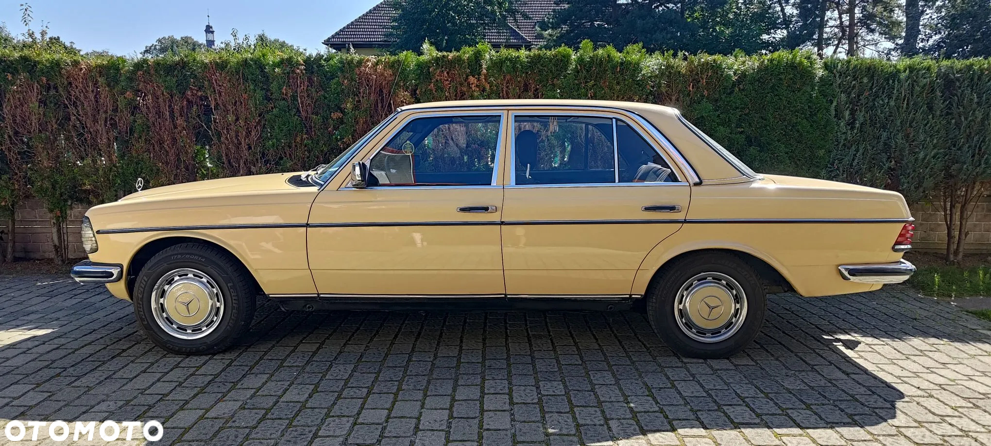 Mercedes-Benz W123 - 6