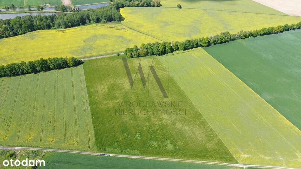 Działka inwestycyjna AG/6 – Cieśle, gmina Oleśnica-1