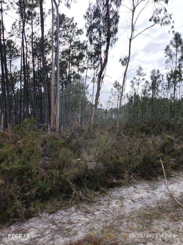 Terreno  para venda - Grande imagem: 4/10