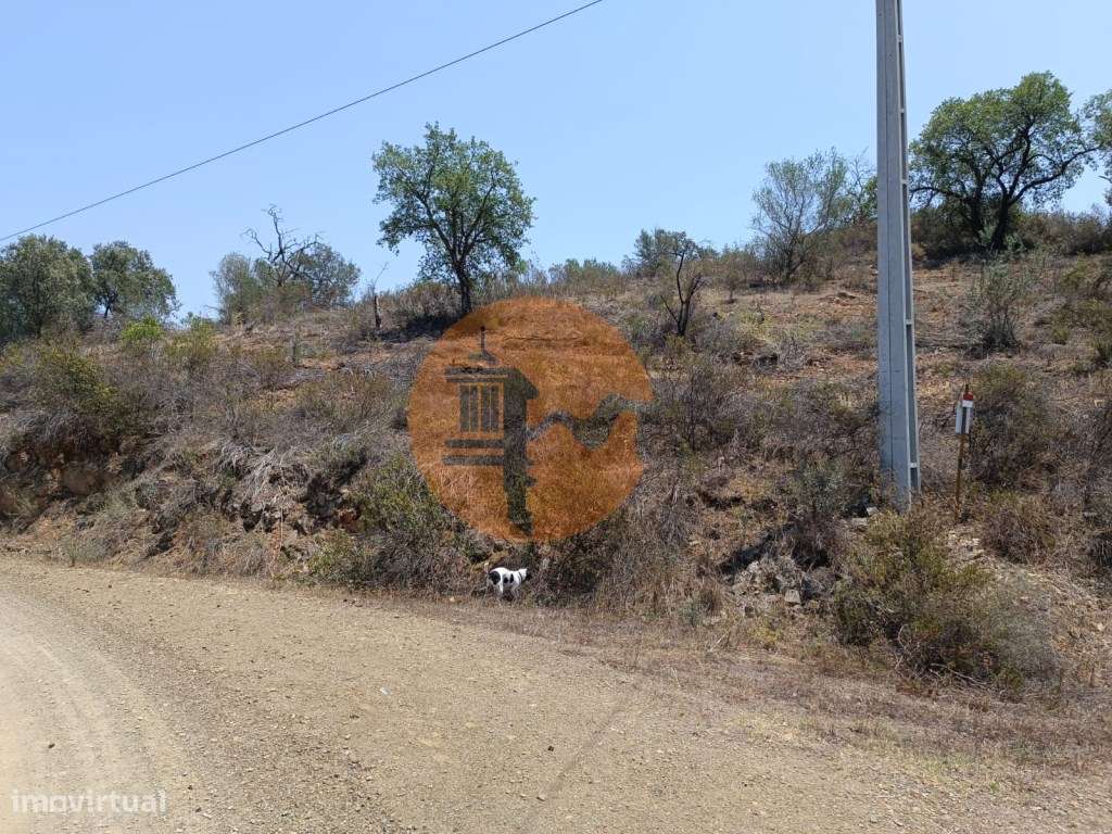 TERRENO RUSTICO COM 10.320 M2 PRÓXIMO A ALMADA D'OURO EM CASTRO MAR... - Grande imagem: 3/45