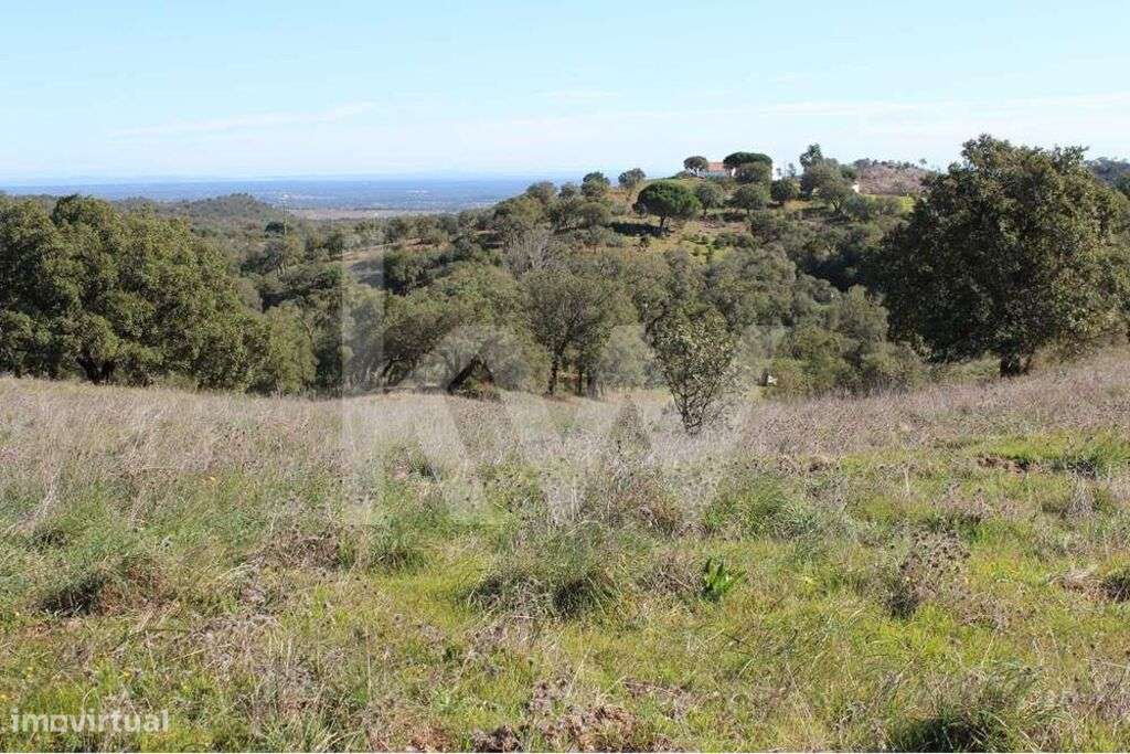 Terreno de 5,8 hectares em Santa Margarida da Serra - Grande imagem: 2/9