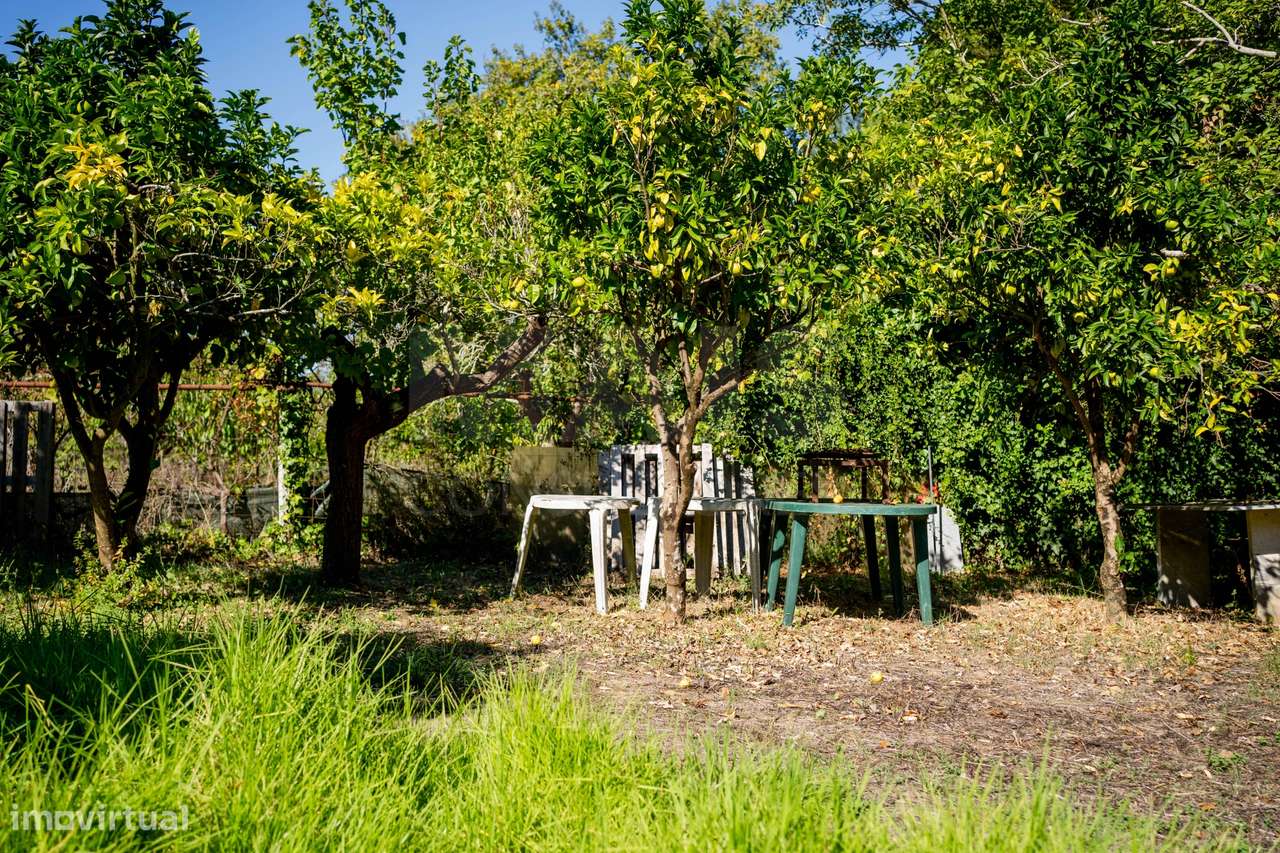 Terreno com 1600m2 rodeado por natureza - Grande imagem: 5/9