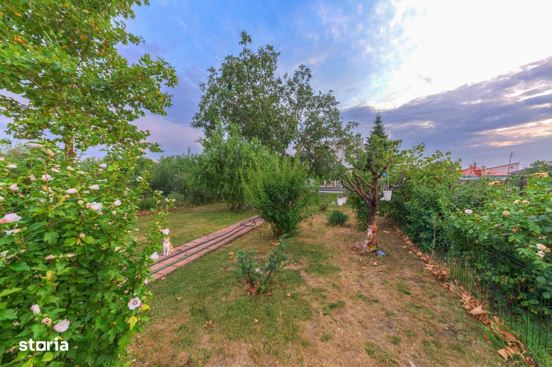 De vanzare vila Cornetu, pentru gospodarul din tine. - Imagine principală: 4/19