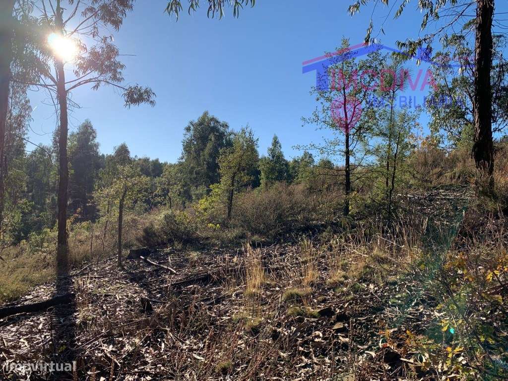 Terreno rústico em Vila Facaia-3