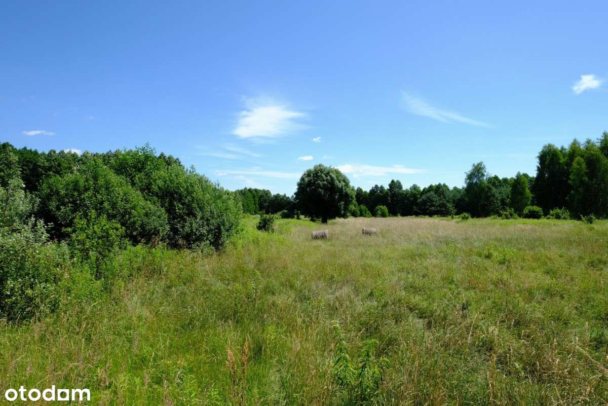 Dom Tuż przy Granicy Kampinosu (kpn)? Tak!-14