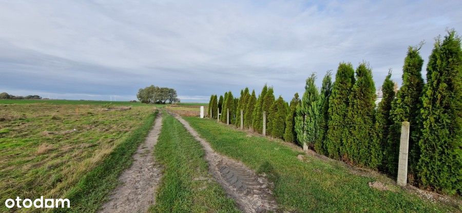 Działka, 1 000 m², Banie