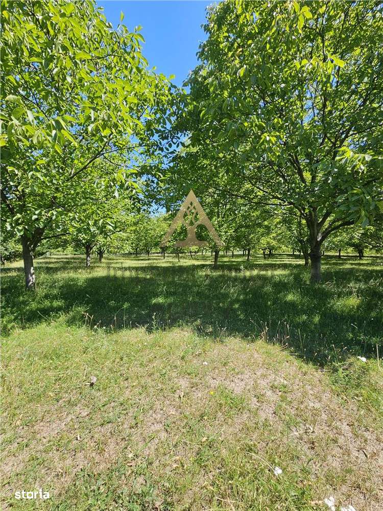 TEREN INTRAVILAN DEVANZARE 33161 MP DE VANZARE TARGU OCNA - Imagine principală: 2/20