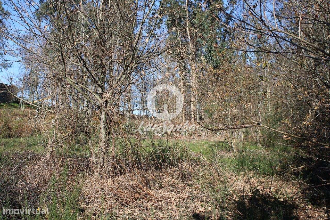 Terreno para construção - Grande imagem: 5/20