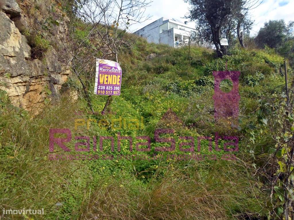 Terreno c/ viabilidade de construção - Santa Clara - Coimbra - Grande imagem: 2/3