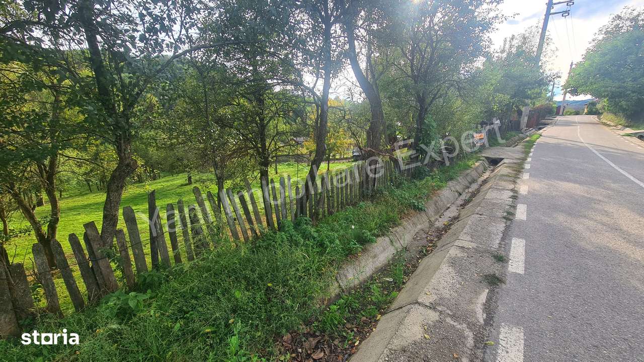 Teren de vânzare în comuna Arefu, județ Argeș.-7