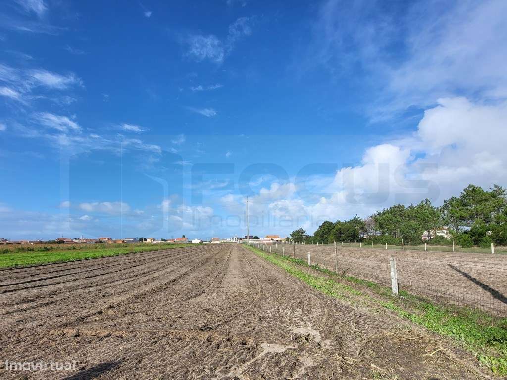 Terreno com duas frentes para venda - Vagueira - Grande imagem: 4/4