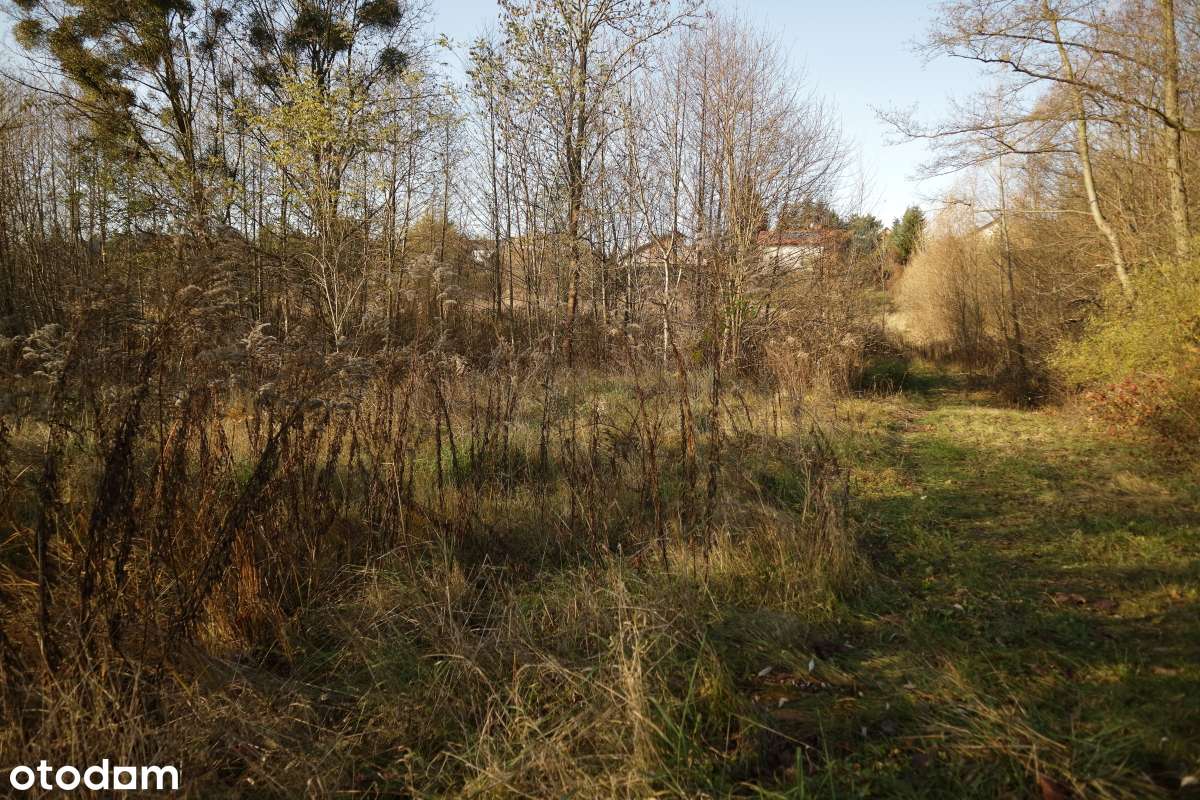 Czerwonak 1,5 ha działka siedliskowa - okazja-7