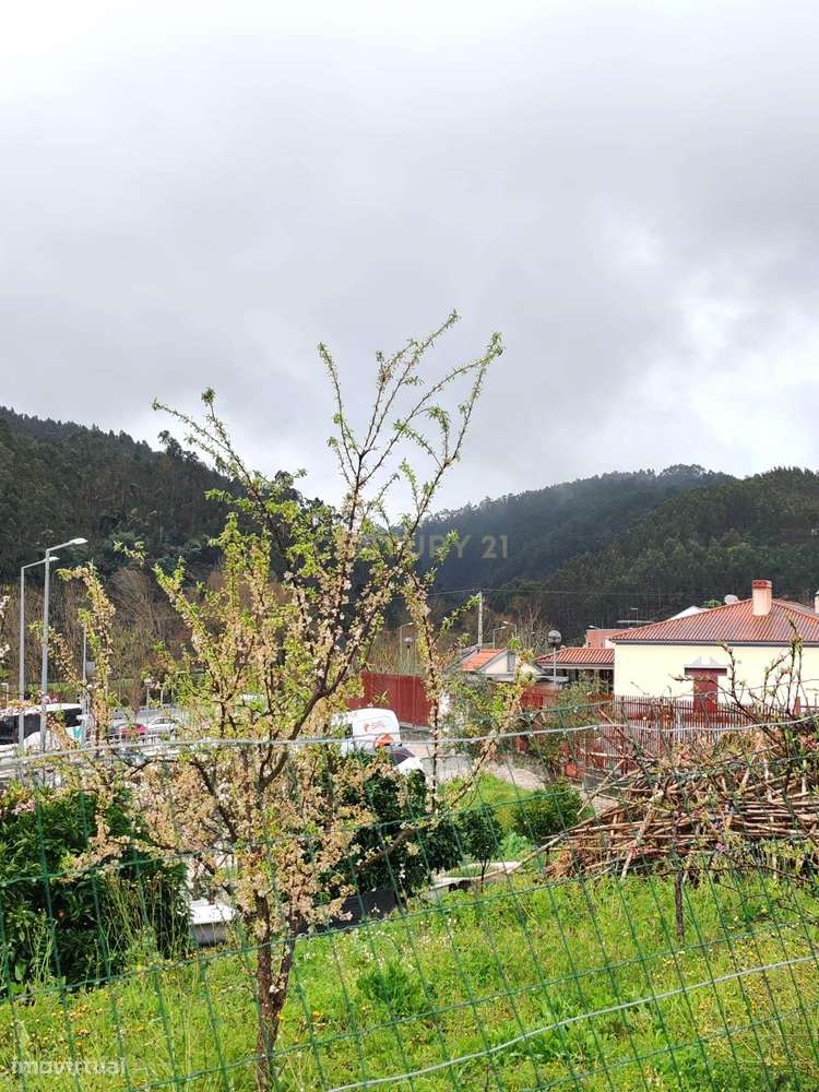 T2 com Lareira em frente ao Metro Mondego em Miranda do Corvo - Grande imagem: 3/50