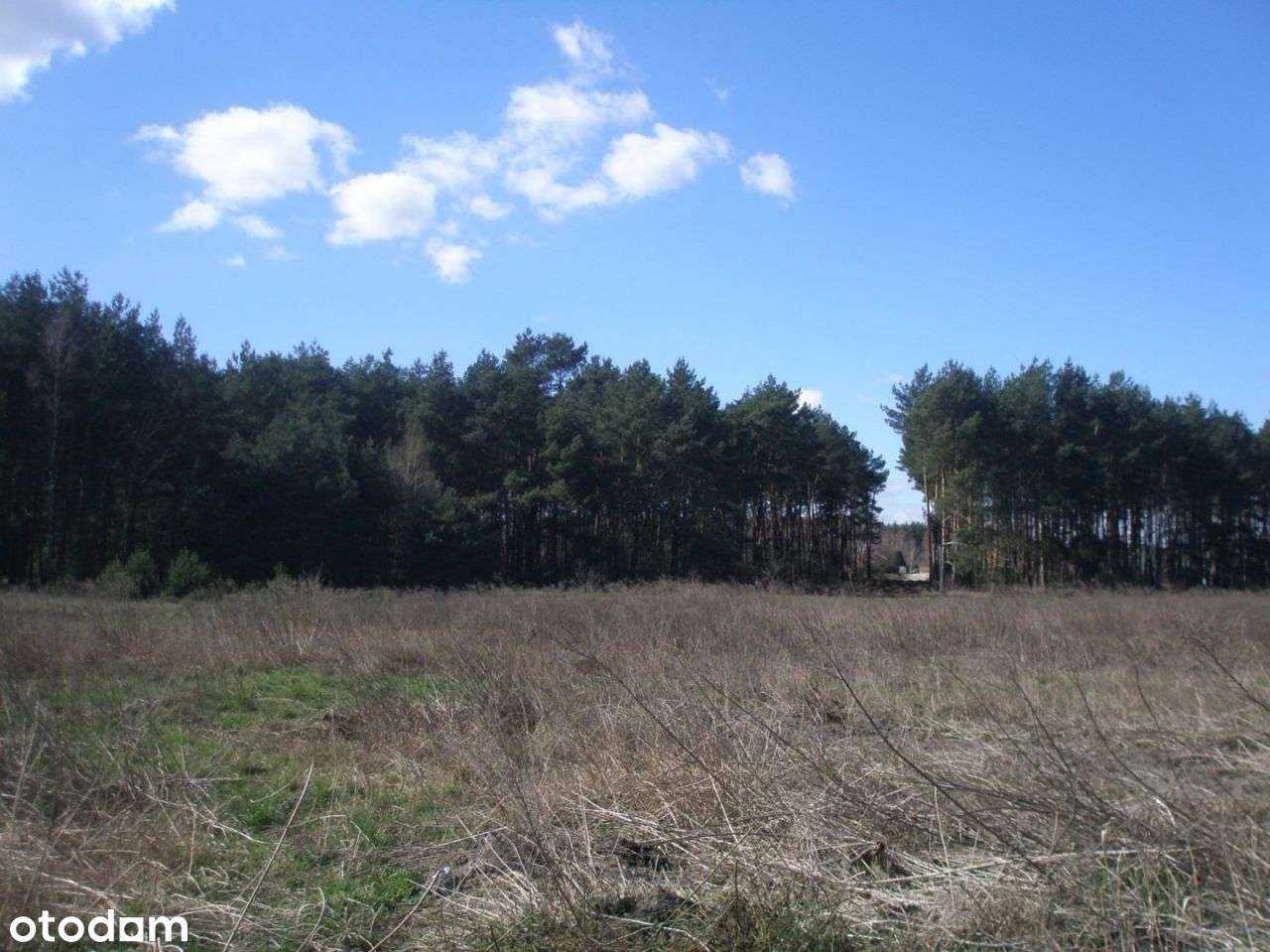 Działka, 1 030 m², Borówiec - Pełny obrazek: 5/9