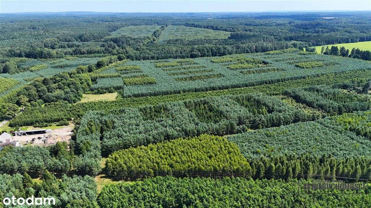 Ząbrowo - działka budowlana blisko Świdwina - na r-12