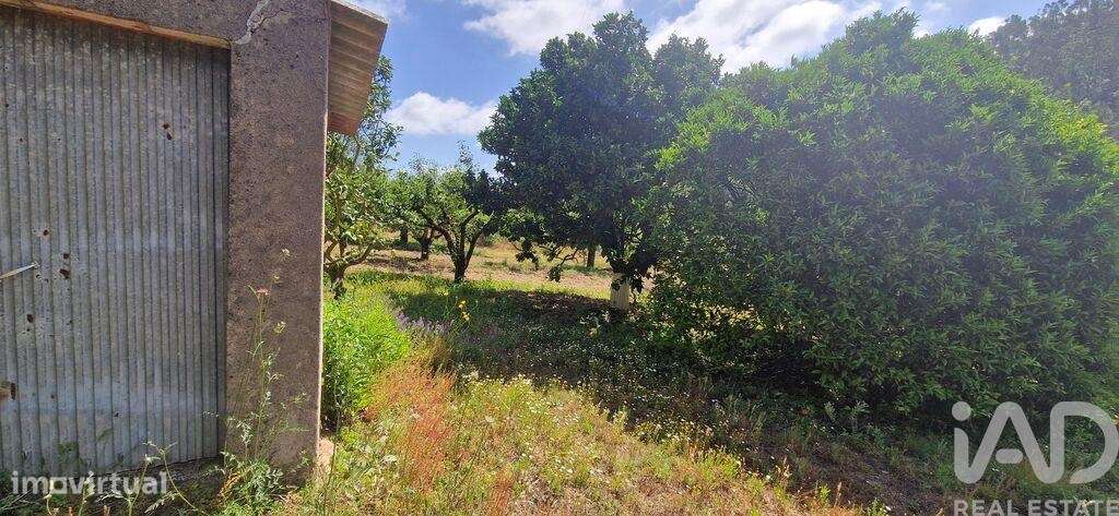 Terreno em Azueira e Sobral da Abelheira de 7812,00 m2 - Grande imagem: 2/21