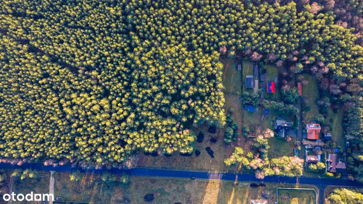 Duża Działka Budowlana Z Prywatnym Lasem-4