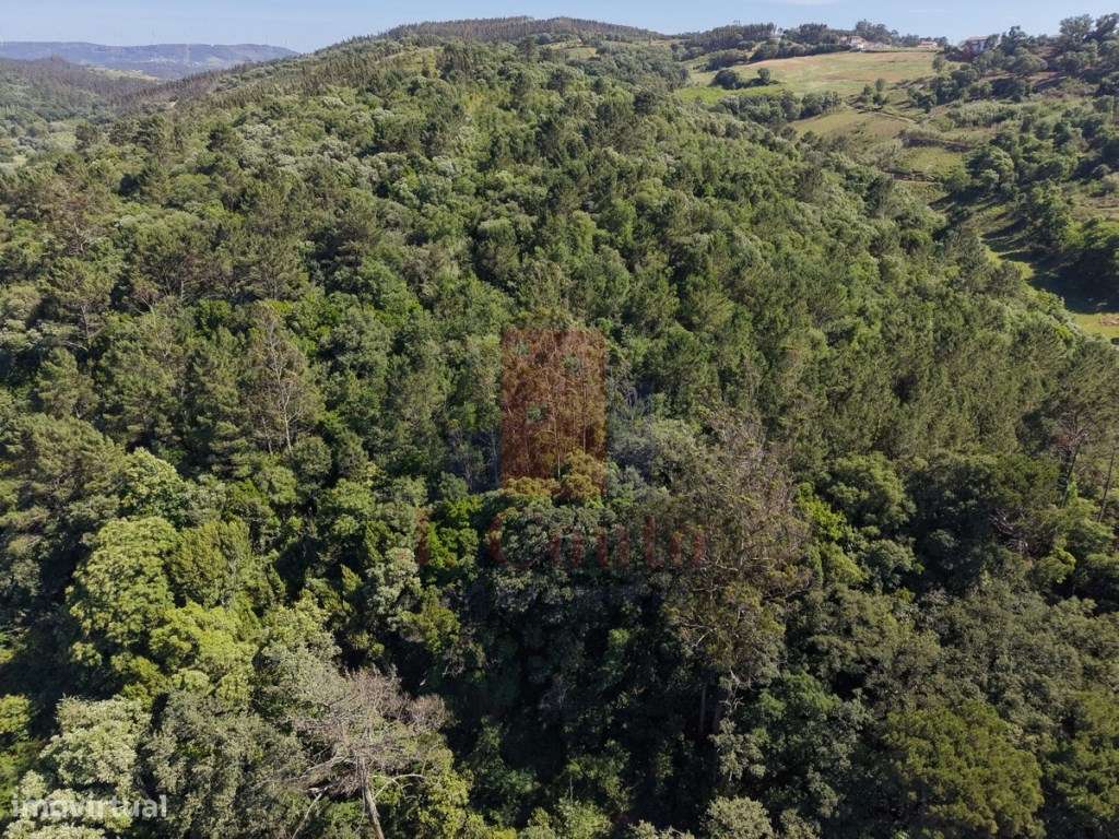 Terreno Rústico com 5.900 m² junto ao Rio Arnóia-16