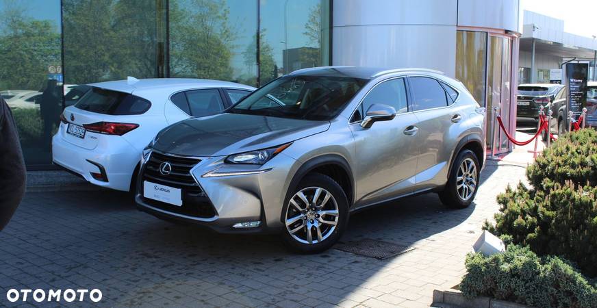 Lexus NX - 2