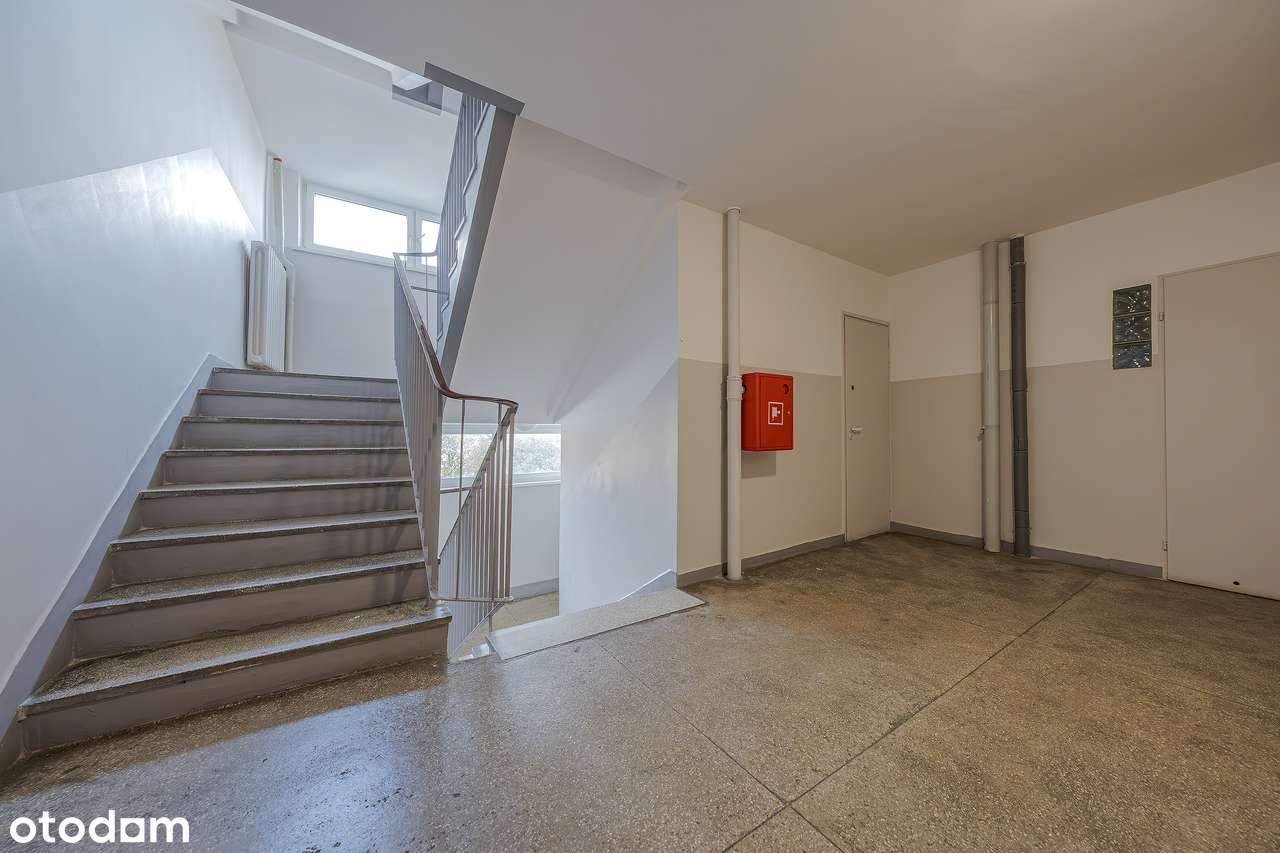 Małe m idealne na pierwsze M, Słoneczne !!!-18